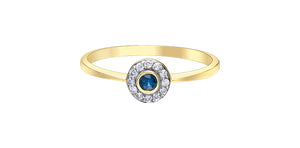 10K Yellow Gold 2.5mm Blue Sapphire with 12 Diamonds Halo Ring