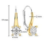 Sterling Silver/18K Gold Plate Fixed Lever Back CZ Earrings