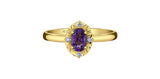 10K Yellow Gold Amethyst with Canadian Diamonds Ring