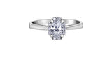 14K White Gold Oval Diamond with (10) Diamond Halo Engagement Ring