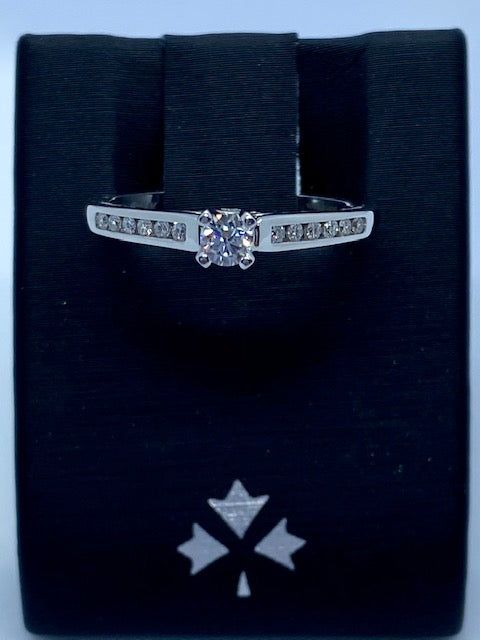 14K  White Gold Canadian Diamond & 22 Should Diamonds Engagement Ring