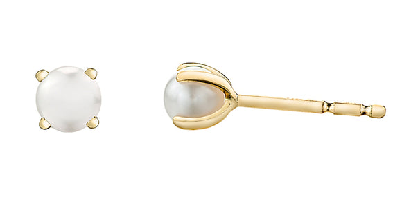 Forever Jewellery 10K Yellow Gold White Pearl Stud Earring