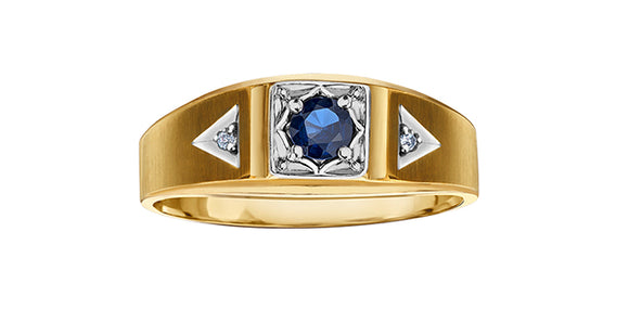 10K Yellow Gold Blue Sapphire with Diamonds Ring